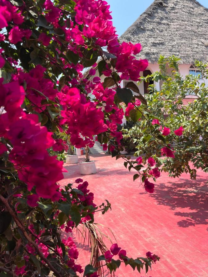 Villa Euphoria - Adults Only Paje Eksteriør bilde