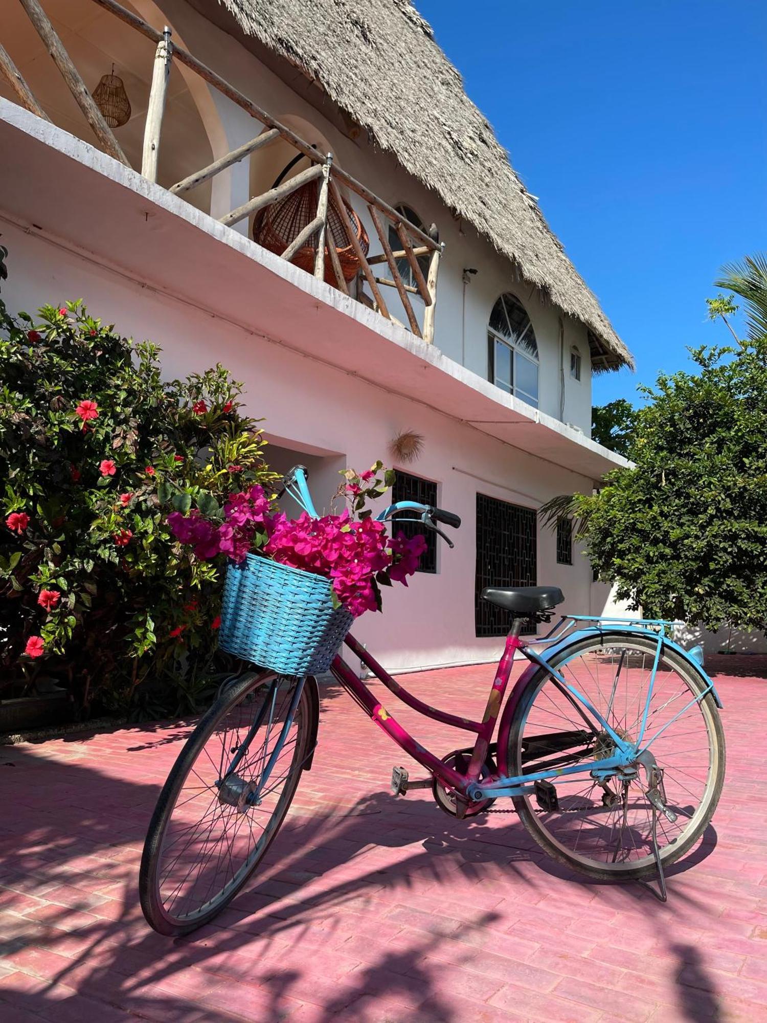 Villa Euphoria - Adults Only Paje Eksteriør bilde